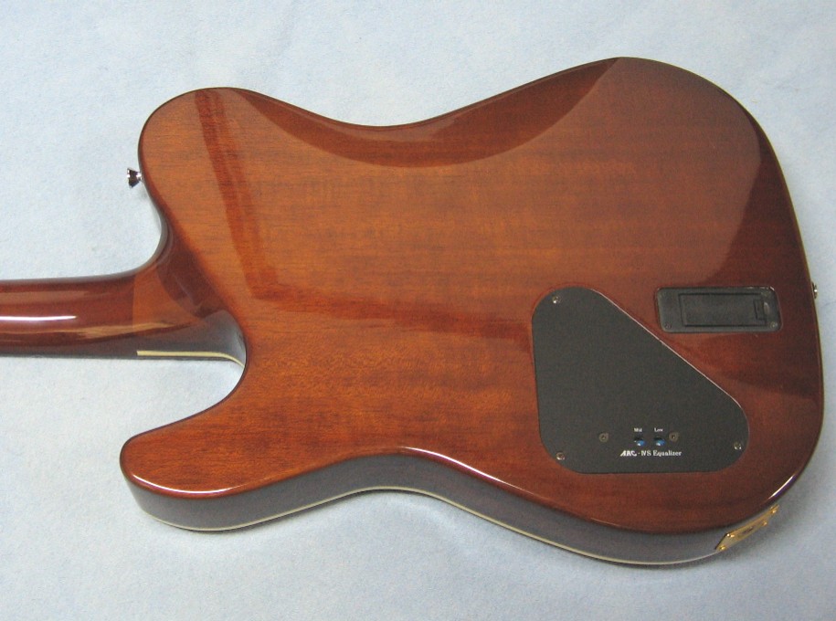高額買取実施中!!】SCHECTER エレガット KS-KANSAS シェクター